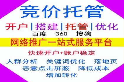 竞价广告案例分析：行业领军企业经验分享